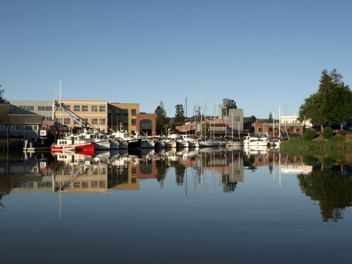 Morning in Petaluma Harbor