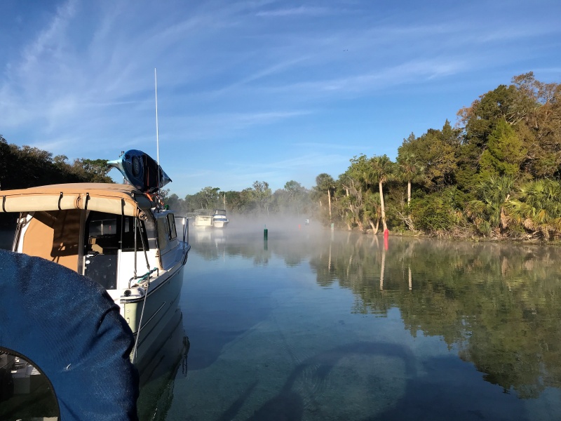 Morning in Silver Glen Springs