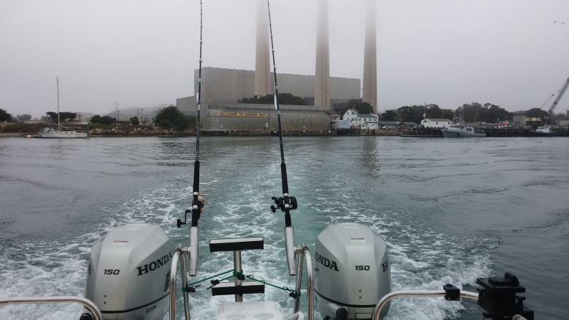 Morro bay out
