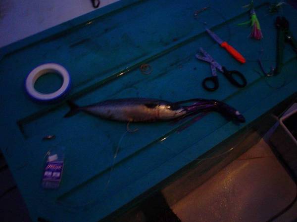 (Mr. Fisherman)
