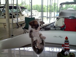 mr. radar, just relaxing while aboard Fan-A-Sea.