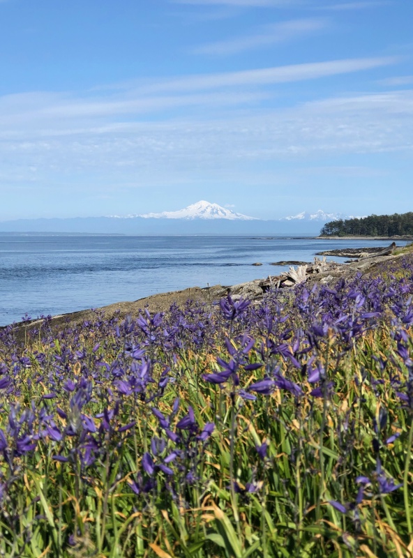 Mt. Baker from Patos Island, View 1