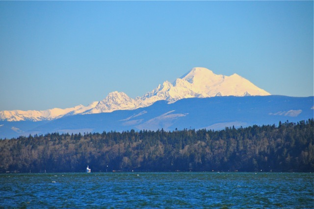 Mt. Baker from Skagit Bay 2/19/11