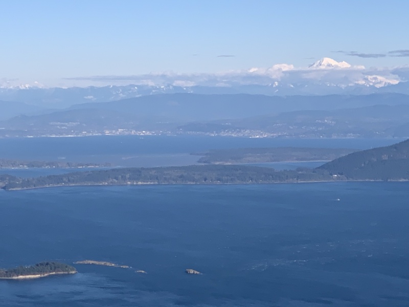 Mt Constitution