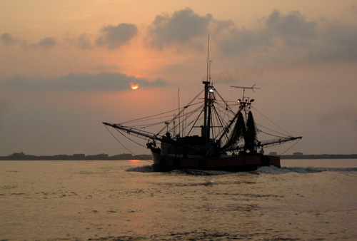 muted sunrise