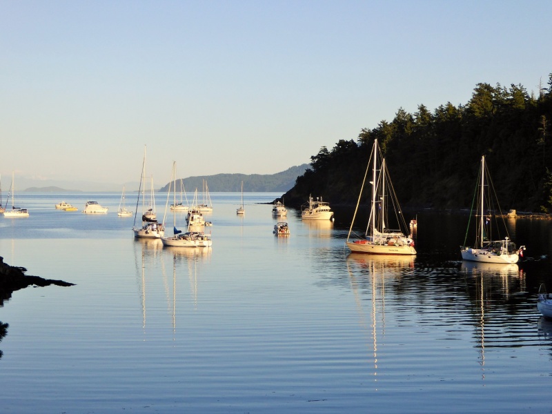 My boat is always the smallest one in the harbor.  Can you spot the C-dory 16?  Perhaps "Waldo" would be a fitting name for the boat.