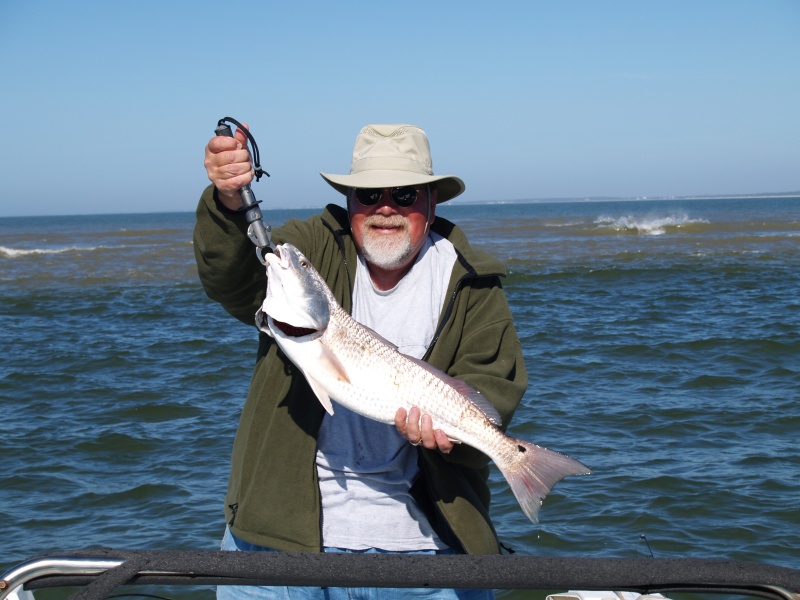 My first redfish! 3" over slot size so had to release.