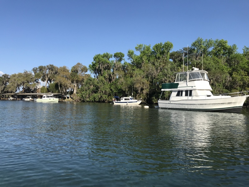 Mystery Girl, C Traveler, Millenium anchored just outside the Silver Glen Springs circle