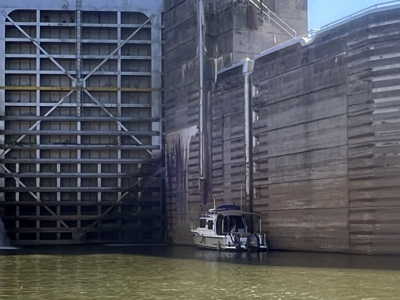 Mystery Girl on approach wall waiting for lockage at Old Hickory