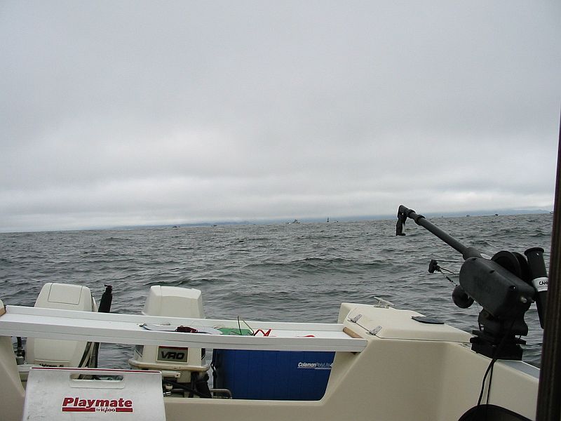 N.W. Wind Rising