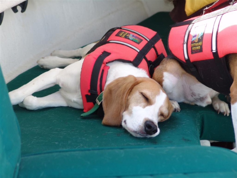 Nap time.