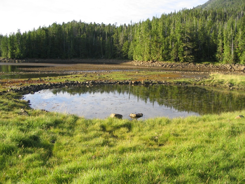 Native Salmon Fish Trap at the Estuary of a River, Princess Royal Island