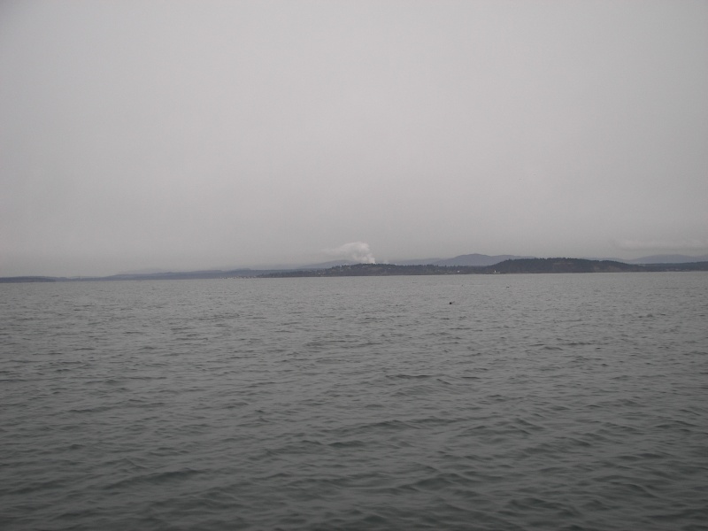 Native smoke signals... warning of logs!