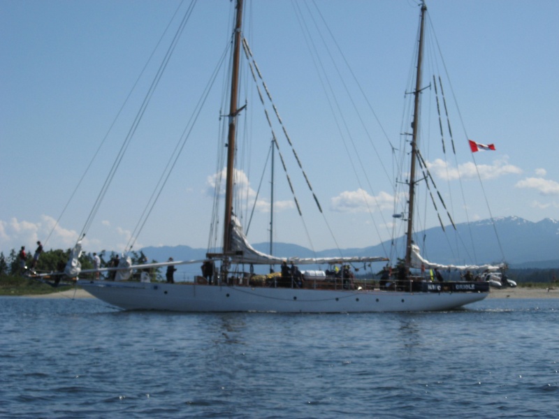 Navy tall ship Oriole coming past us on way in to Comox BC
