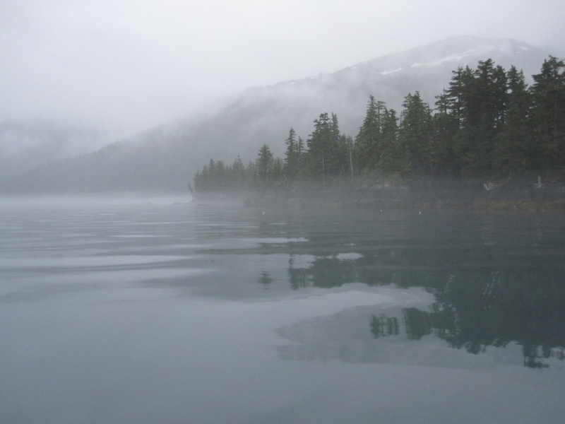 Near the head of Pigot Bay