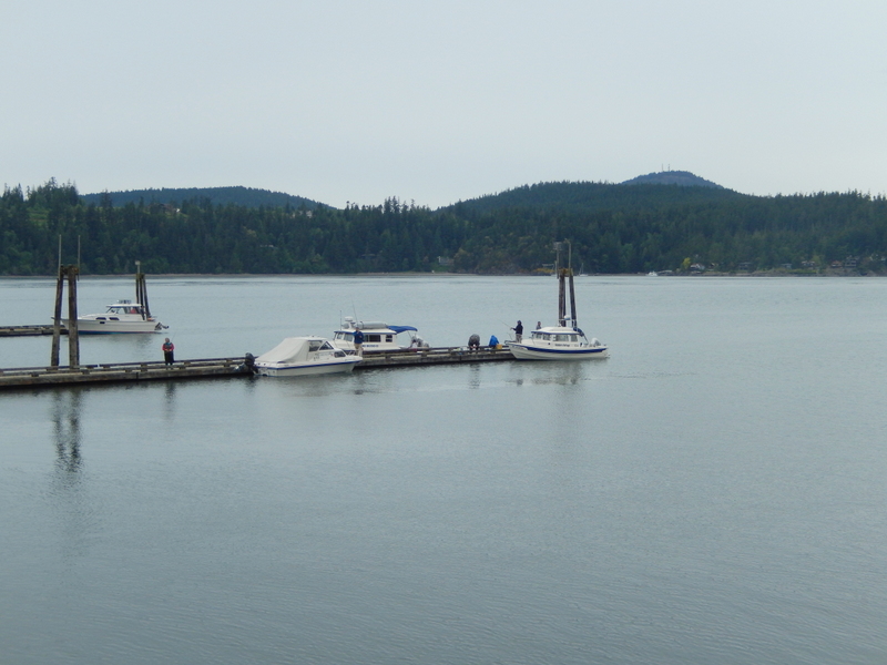 Neil in Rose Bud II (right) and Rob in Robbie's Refuge (center,back), 
at dock in Cornet Bay near Anacortes, WA, 
waiting to cross to Friday Harbor in the San Juan Islands
