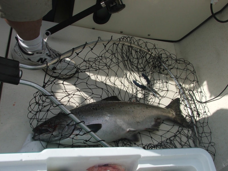 Netted and on board, Whew!