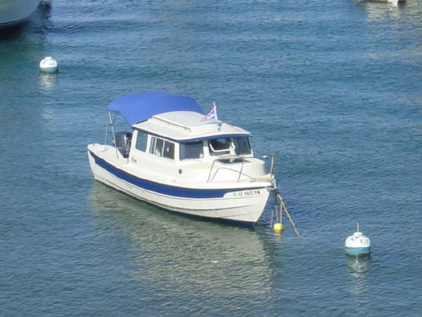 newburgee.JPG
