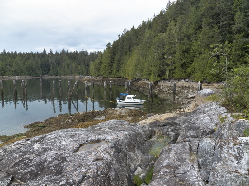 Next stop was Mamalilaculla.  I had read Tea Time and Totem Poles since my last visit here, so I was curious to go ashore.  We used the bungee anchor system.