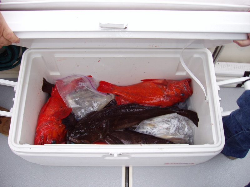 Nice mess of lings and vermillion