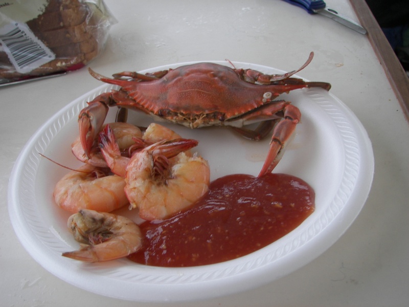 No shortage of crabs, nor shrimps in Galveston area!