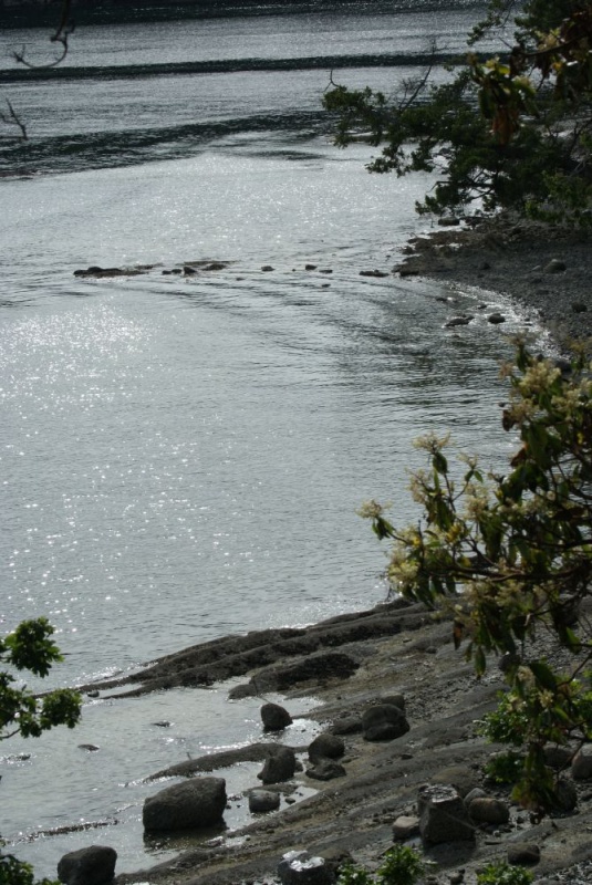 Northbound-DSC06238  Montague Provincial Park