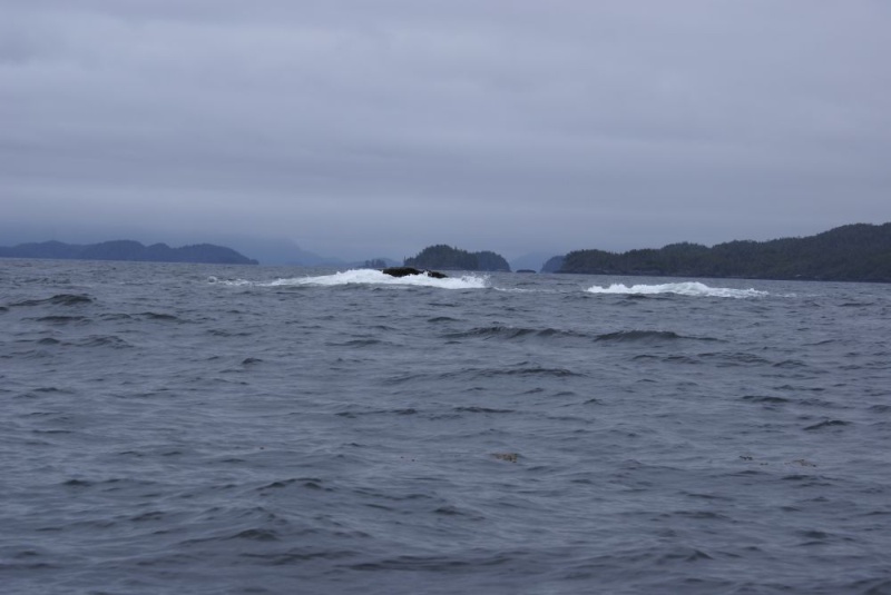 Northbound-DSC06303  North Iron Rock, near Cape Caution.  To my mind, one of the most ominous looking places on the Inside Passage.