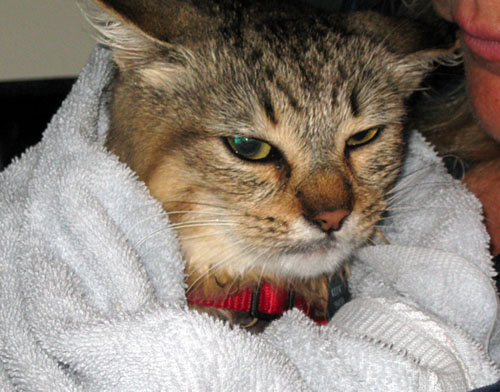 NOT happy