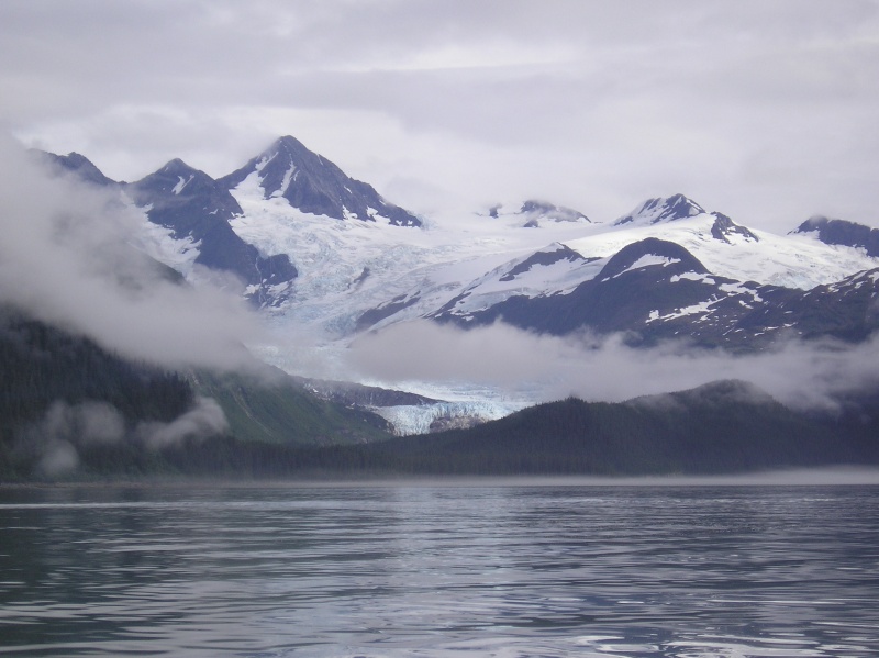 Not sure which part exactly, but PWS