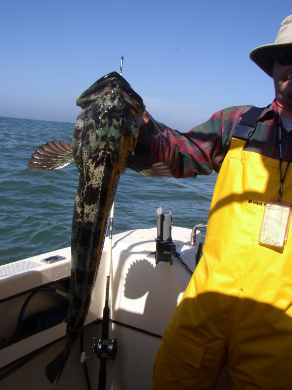 Now that is what I am here to catch.