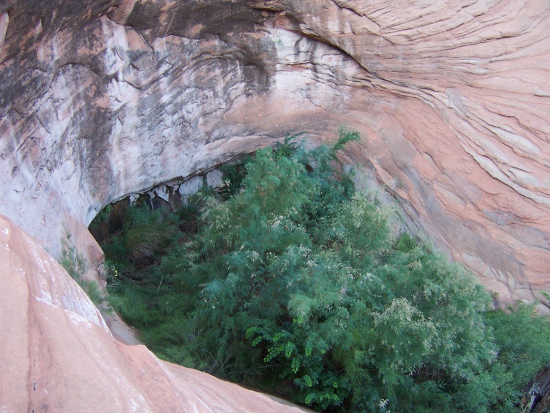 Oak Canyon near where we beached