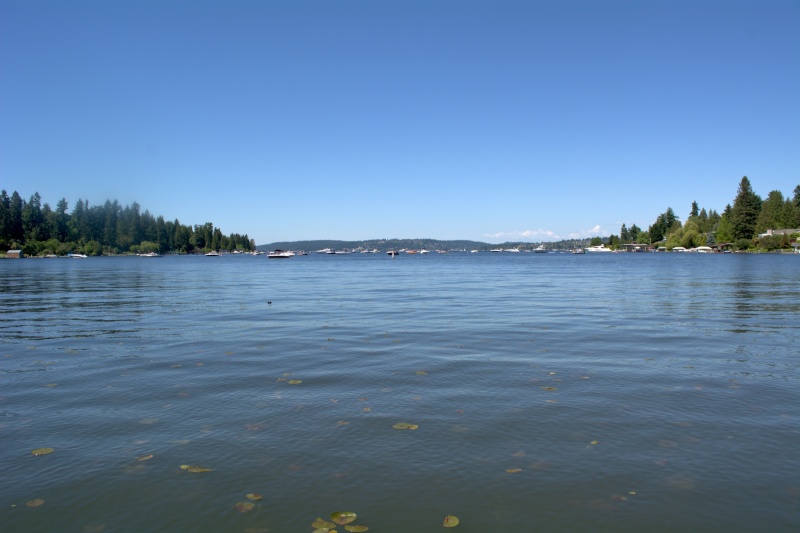 Of course there were at least 50 other boats anchored in Cozy Cove, also just trying to find a calm area to relax in the sun