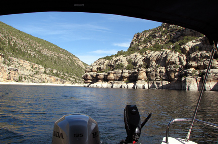 Off the stern