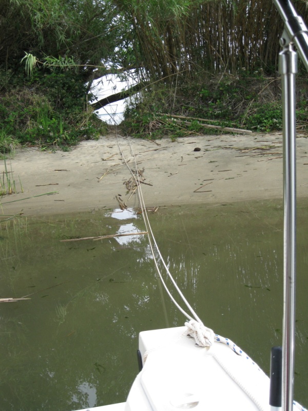 Okay, the water is brownish green, and the sand is not white, but there is bamboo and  it is out of the wind.