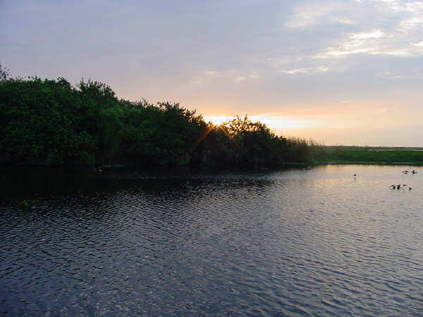 Okeechobee Morning