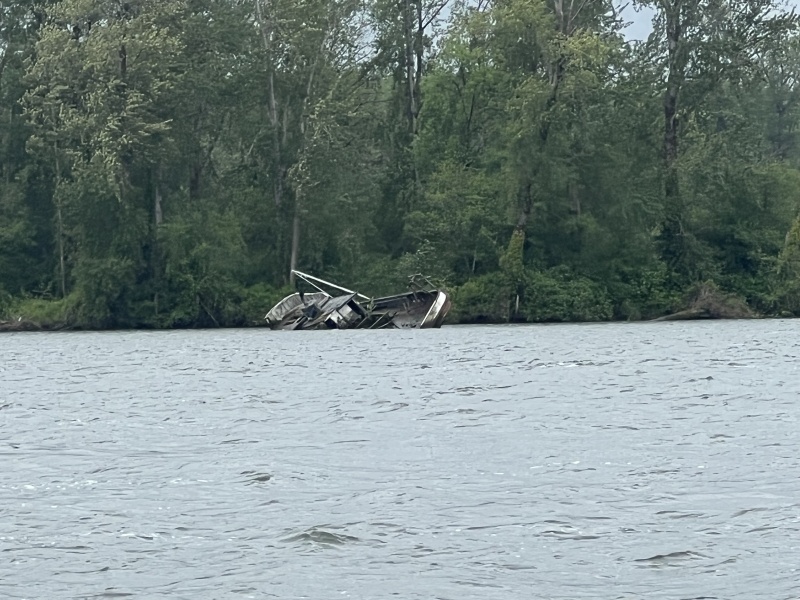 Old sunken fishing boat along the Cathlamet Channel.