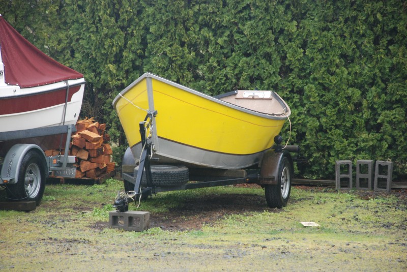 Old Yeller - sold November 2008