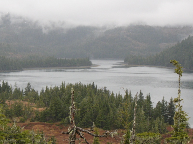Olsen Cove from Olsen Island