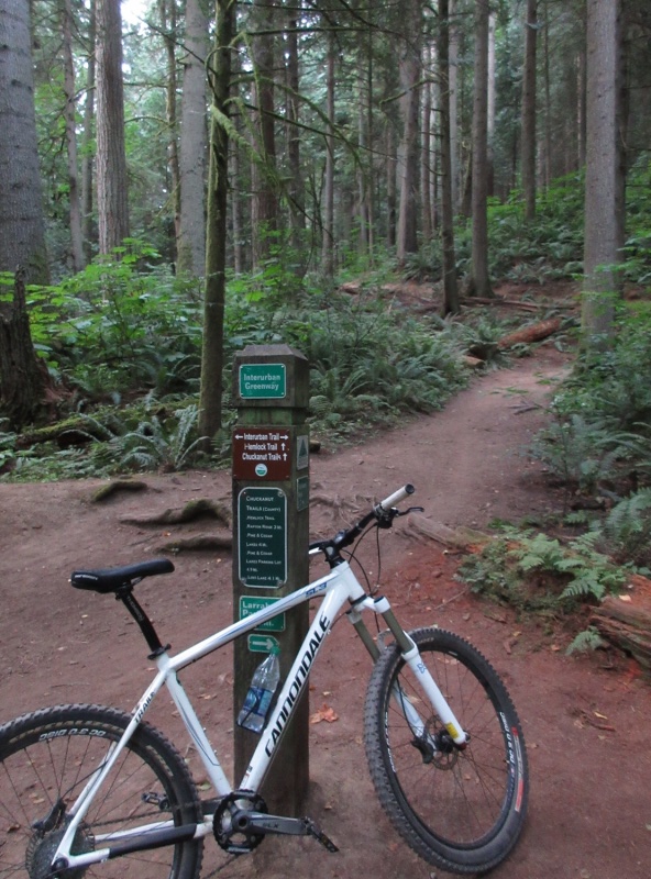On my mountain bike ride Friday on Chuckanut