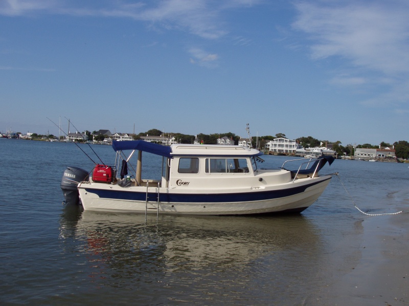 On the beach @ Carrot island across from Beaufort waterfront