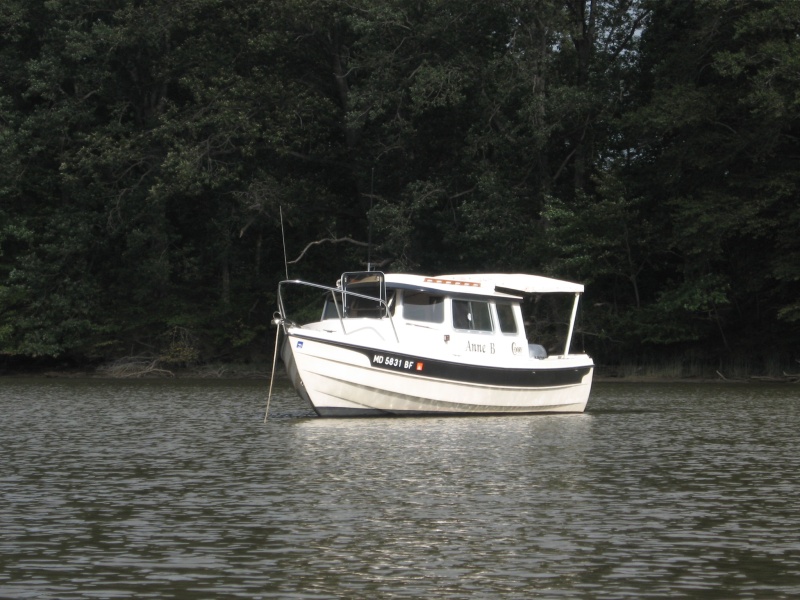 On the Corsica River