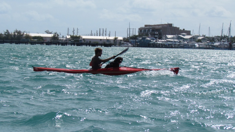 On the way into Key west