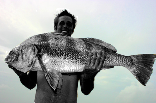 One of Christopher's little fish.  Just remember who taught him to fish!