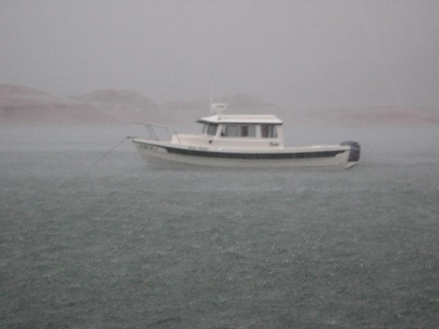 One wet C Dory