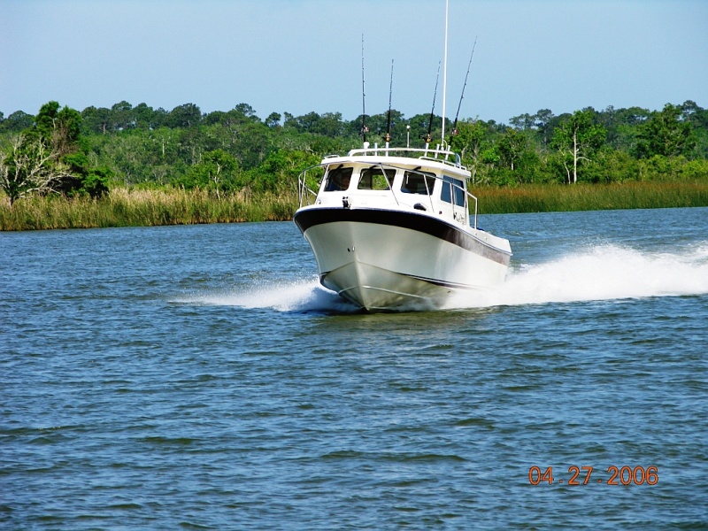 Orca Running H.R. 1