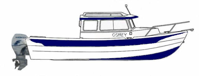 osprey line drawing