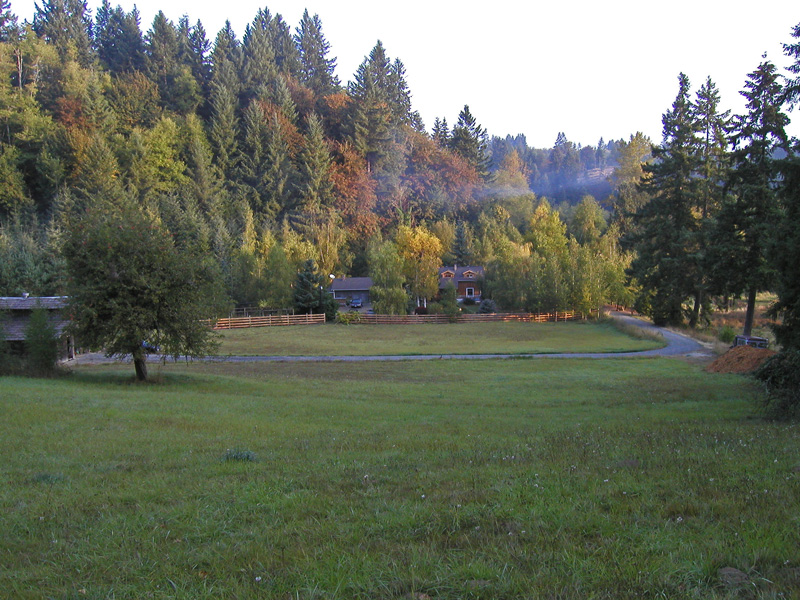 Our 80+ yr old farm house early morning.