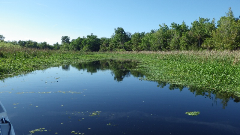 Our anchorage in Eph Creek