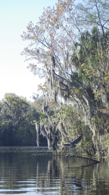 Our Mud Creek anchorage