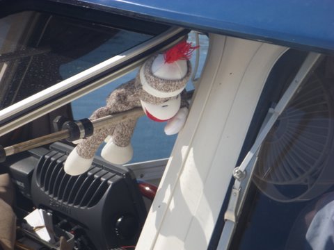 our Sock Monkey Will